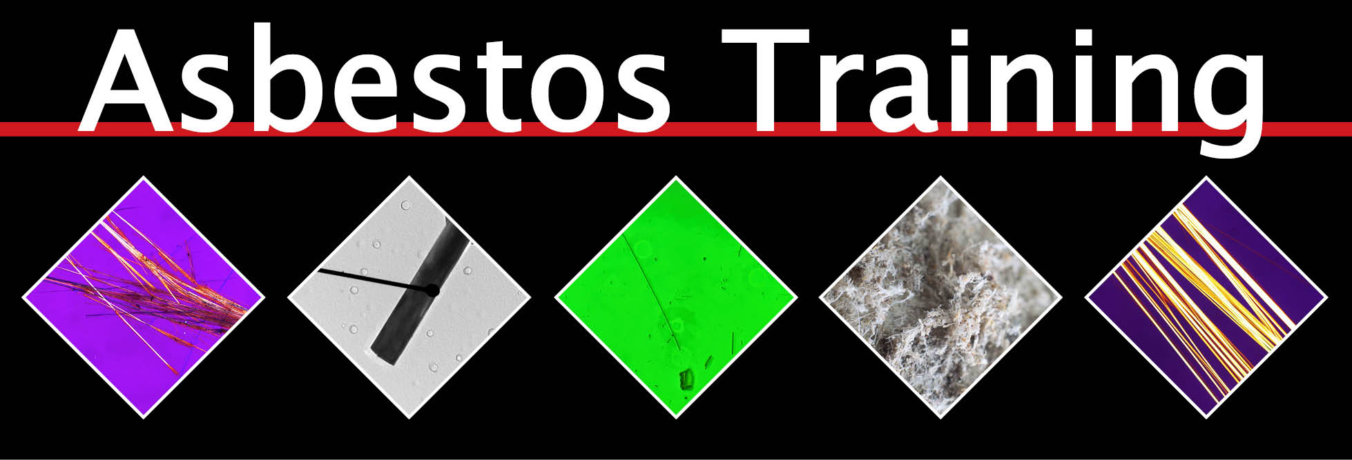 Asbestos Training