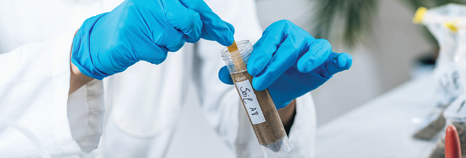PCBs Soil